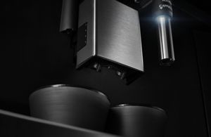 Dual Dispensing Spouts