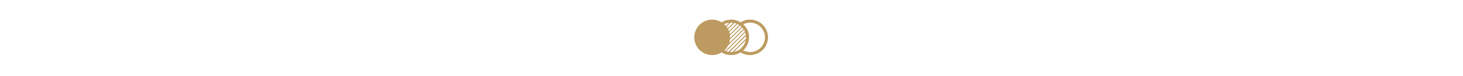 An icon of three circles. One circle is a solid colour, another is lined and the other is black, indicating "sleek design and personalization